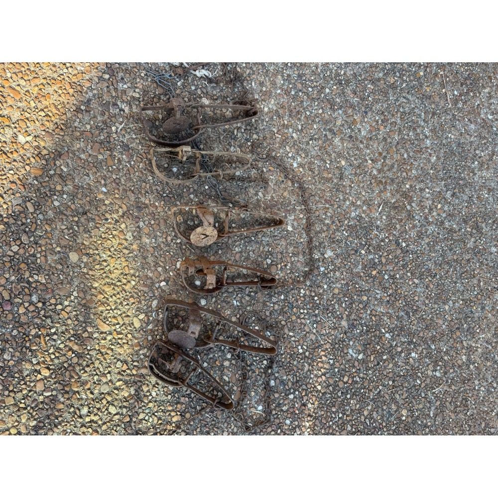Vintage Antique Iron Leg Traps Lot of 6 Rustic Cabin Decor Primitive Chains